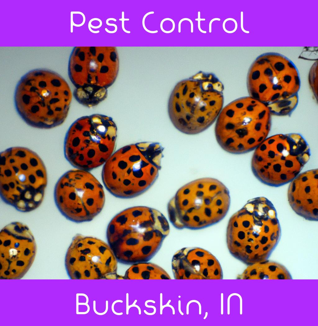 pest control in Buckskin Indiana