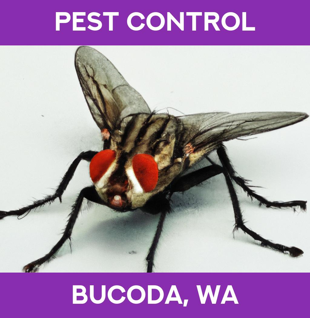 pest control in Bucoda Washington