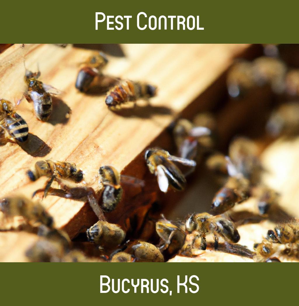 pest control in Bucyrus Kansas