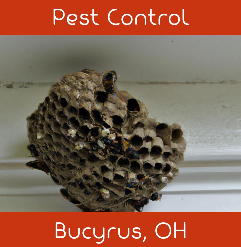 pest control in Bucyrus Ohio