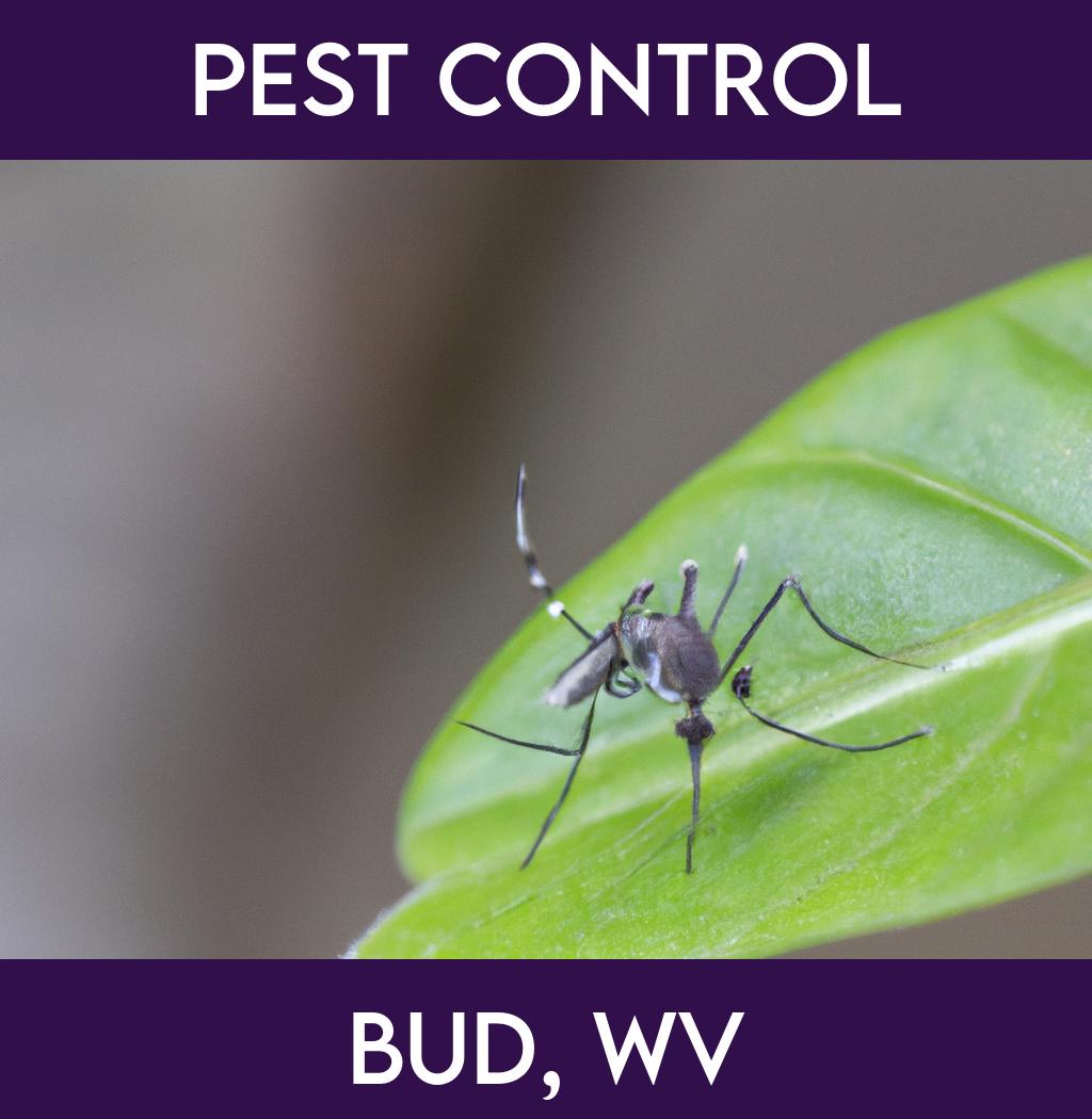 pest control in Bud West Virginia