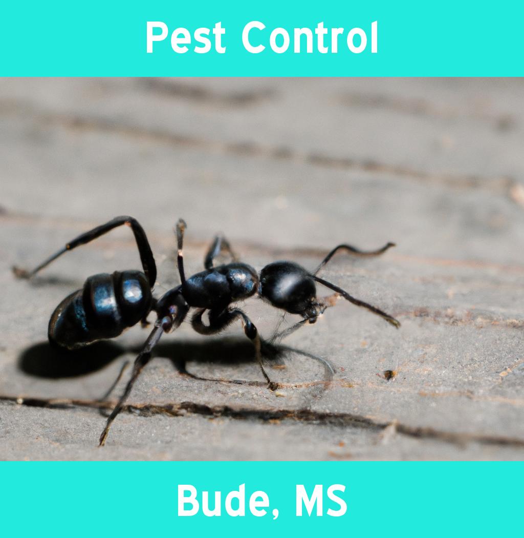 pest control in Bude Mississippi