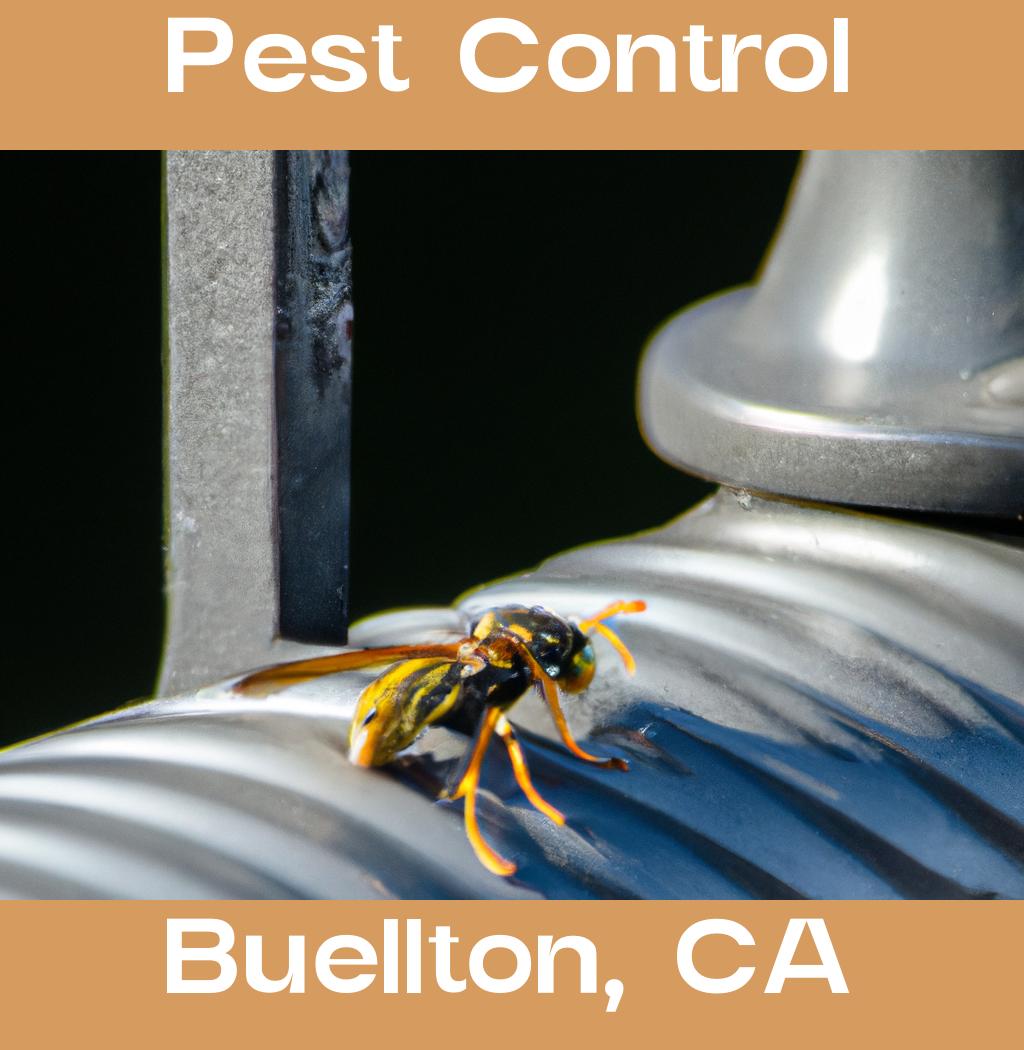 pest control in Buellton California