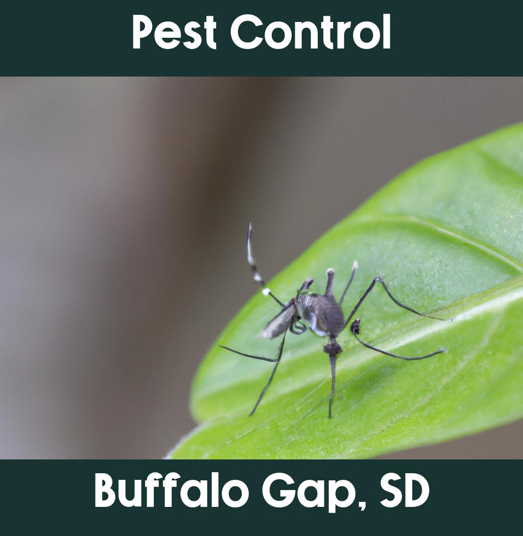 pest control in Buffalo Gap South Dakota