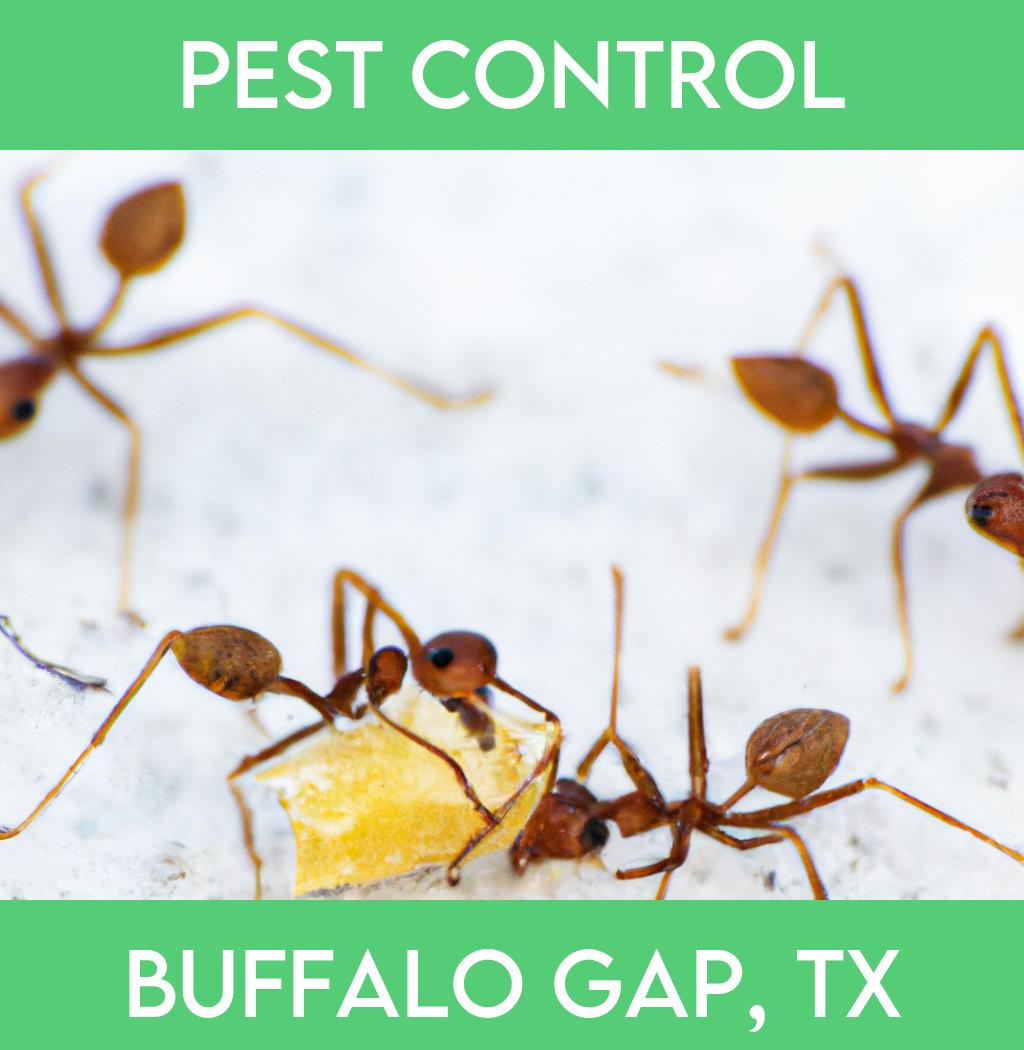 pest control in Buffalo Gap Texas