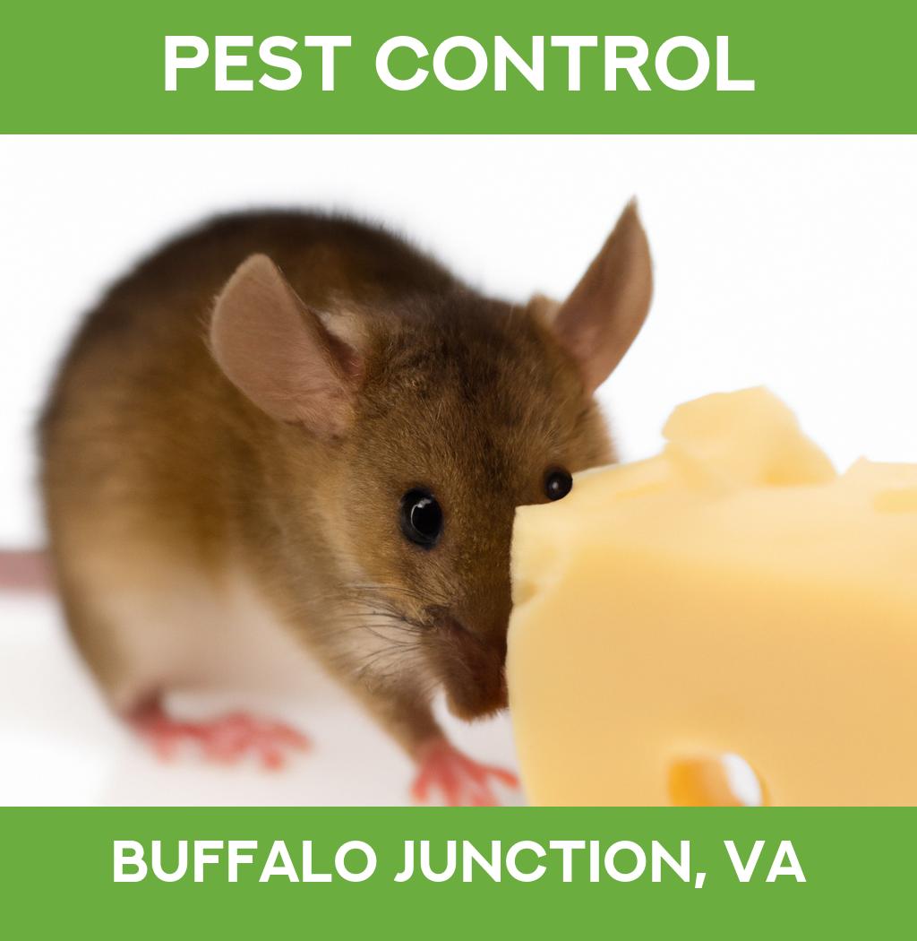 pest control in Buffalo Junction Virginia