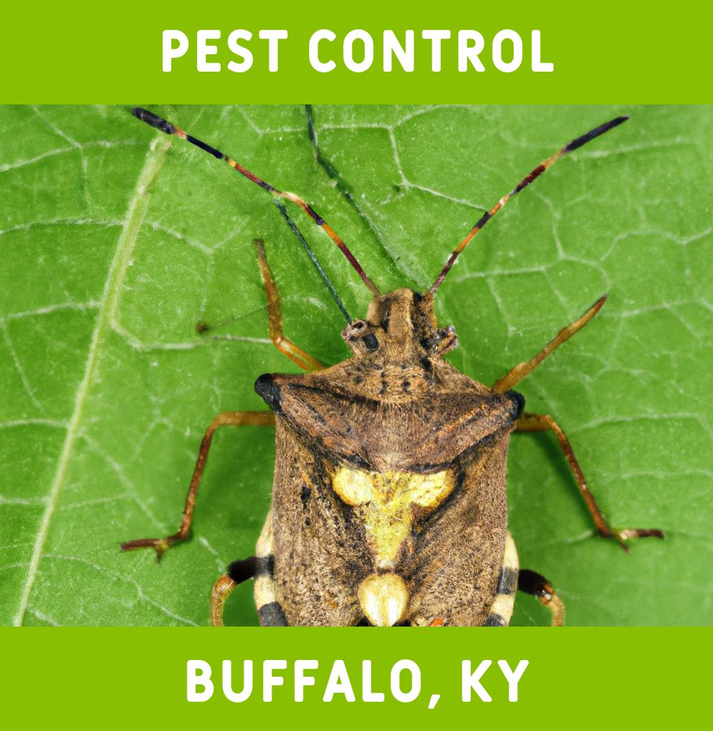 pest control in Buffalo Kentucky