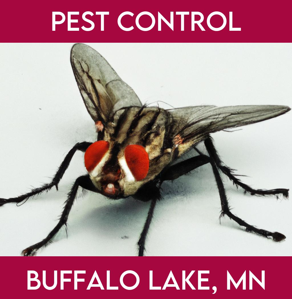 pest control in Buffalo Lake Minnesota