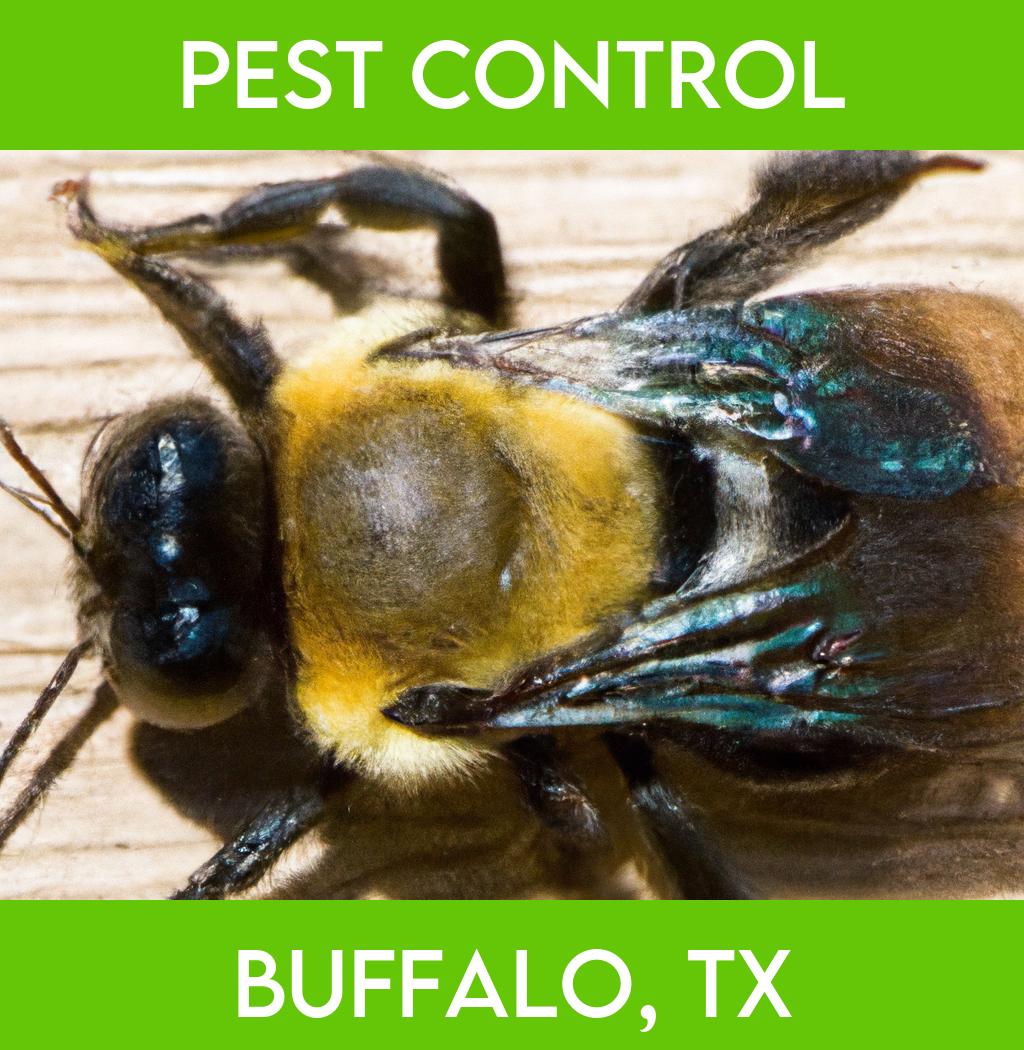 pest control in Buffalo Texas