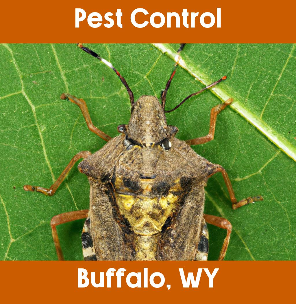 pest control in Buffalo Wyoming