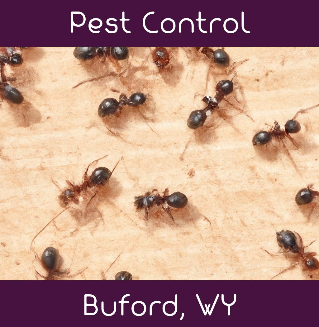 pest control in Buford Wyoming