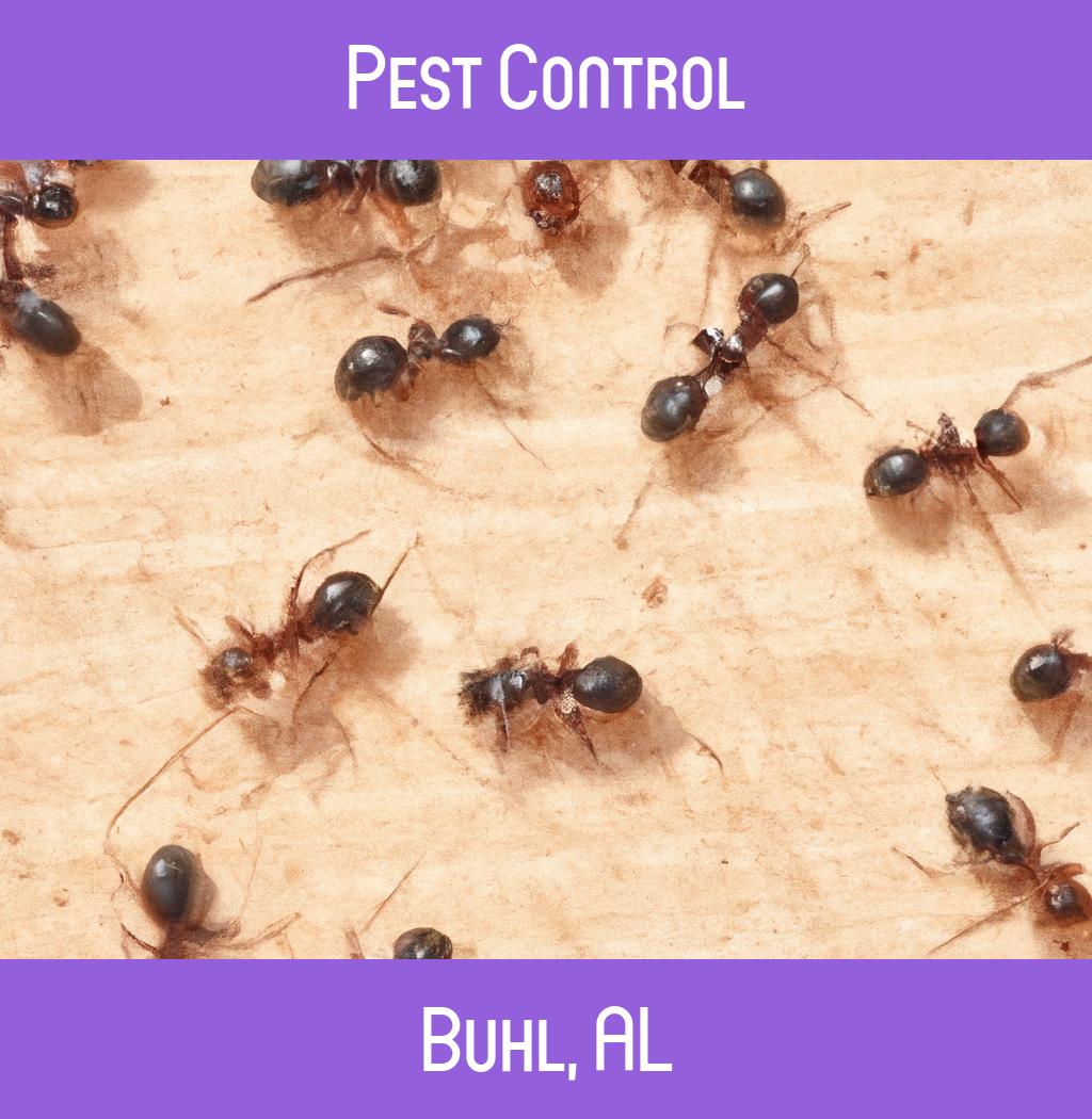 pest control in Buhl Alabama