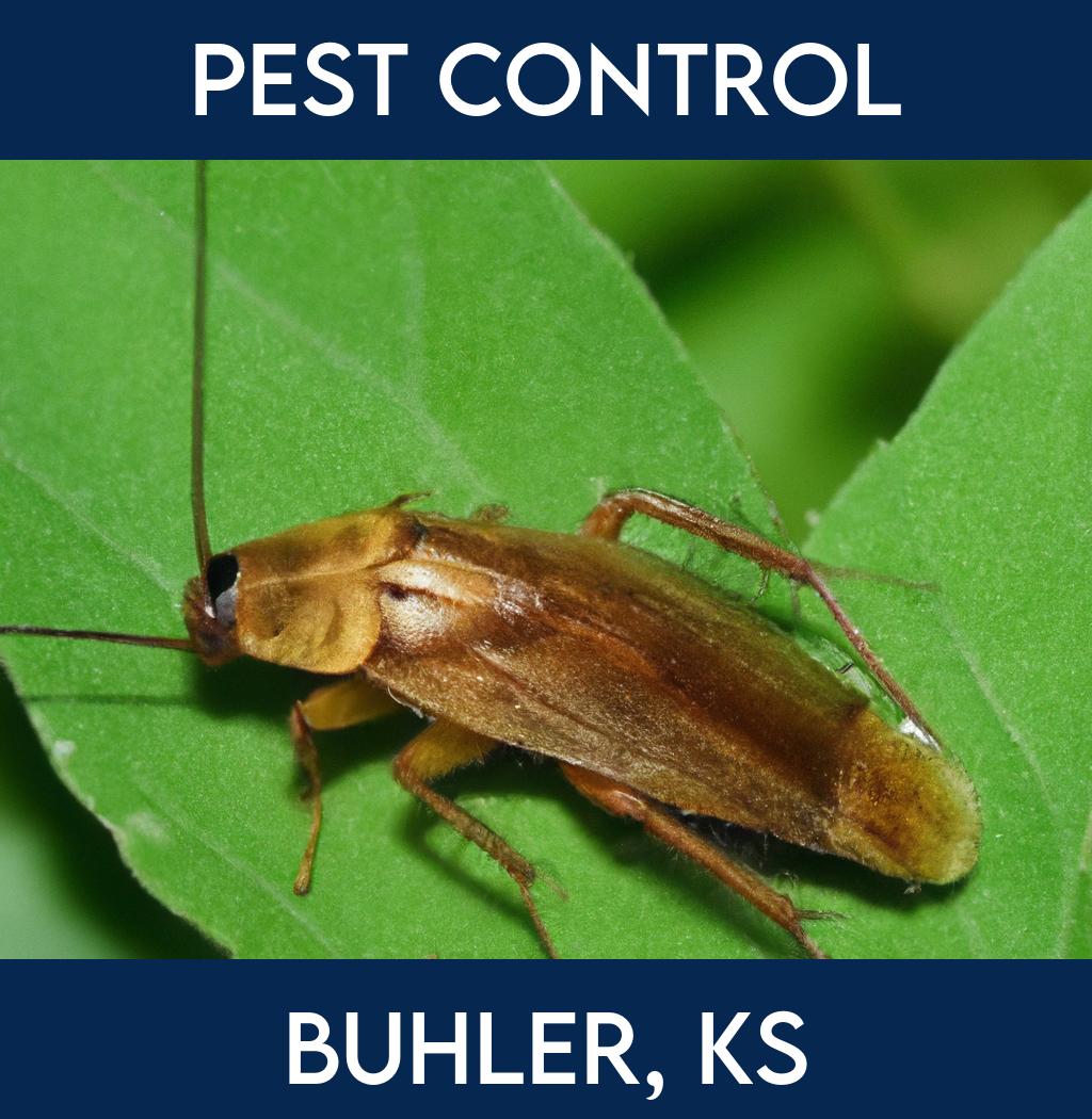 pest control in Buhler Kansas