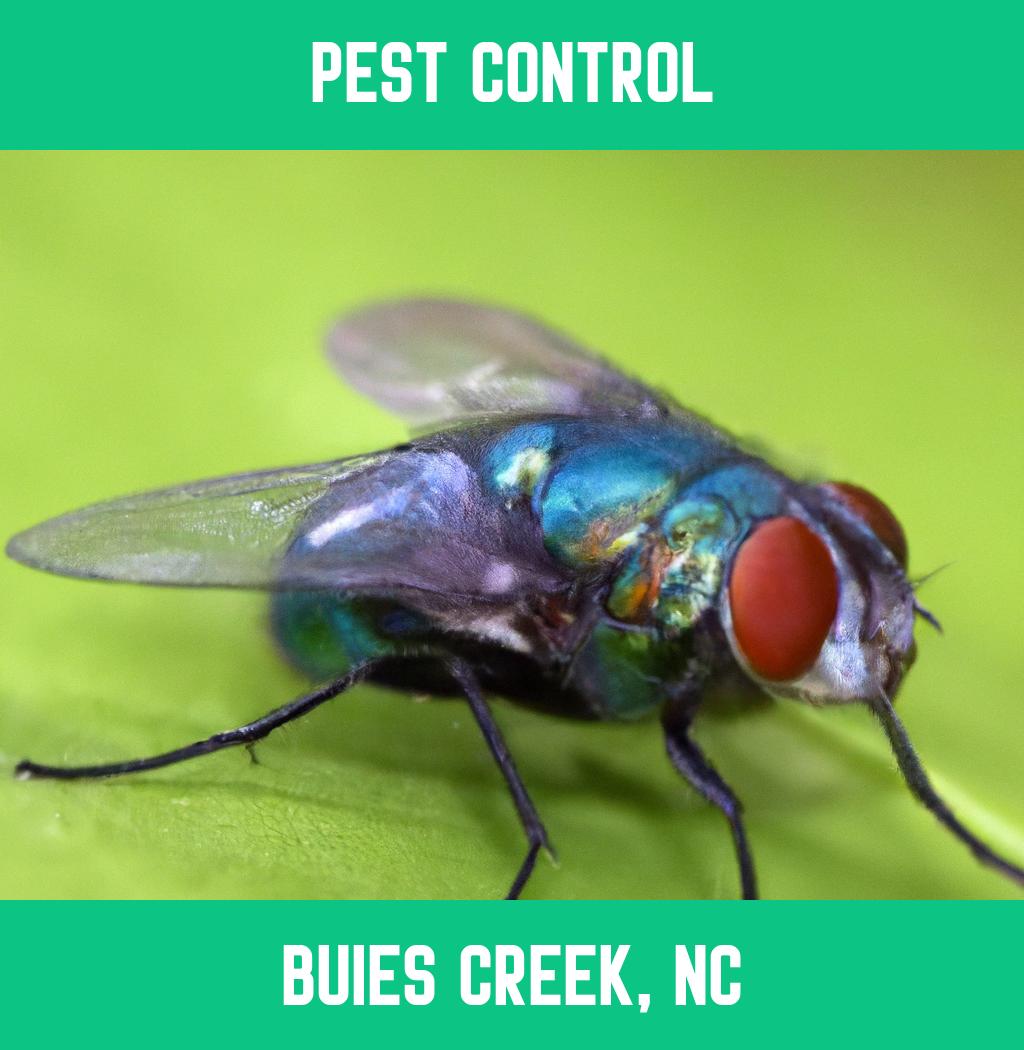 pest control in Buies Creek North Carolina