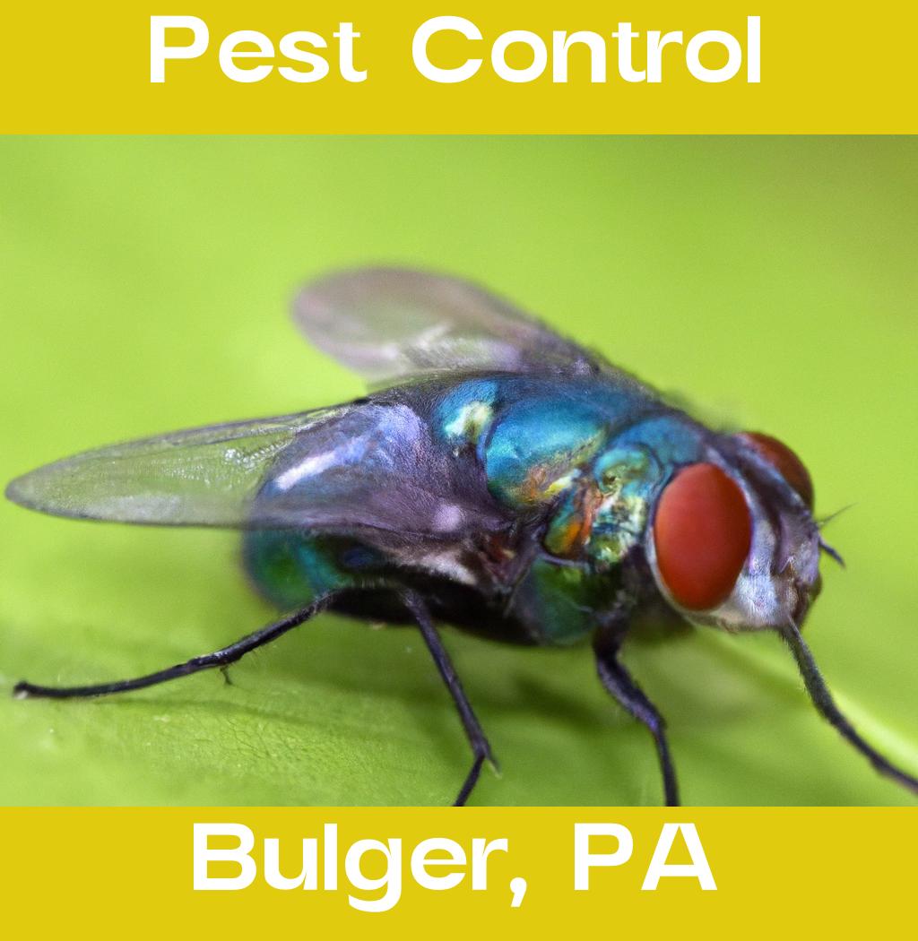pest control in Bulger Pennsylvania