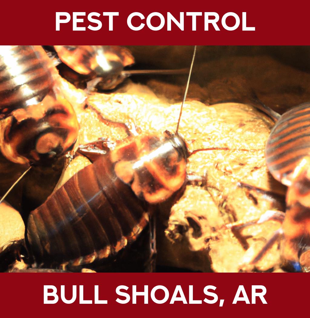 pest control in Bull Shoals Arkansas