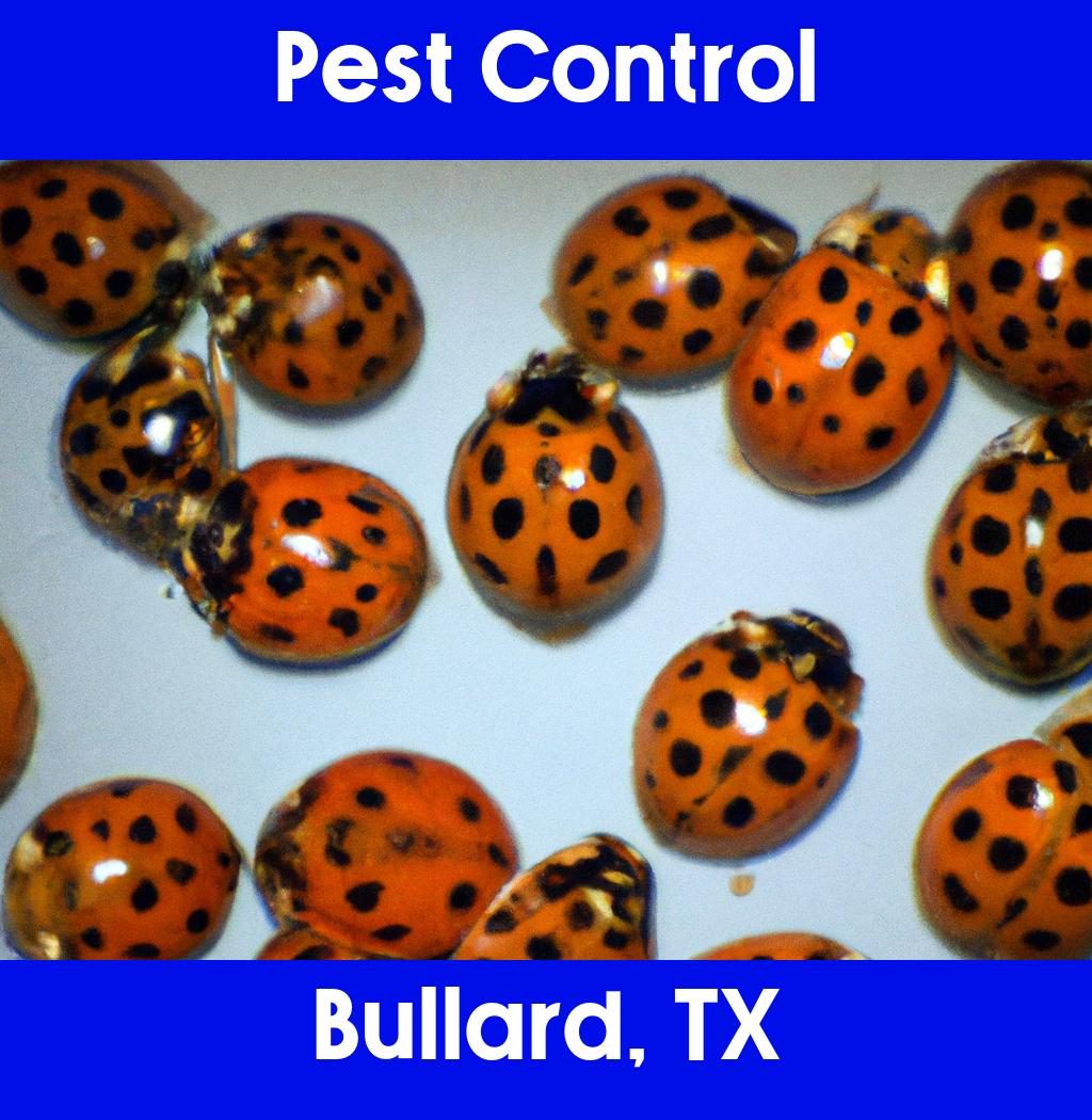 pest control in Bullard Texas