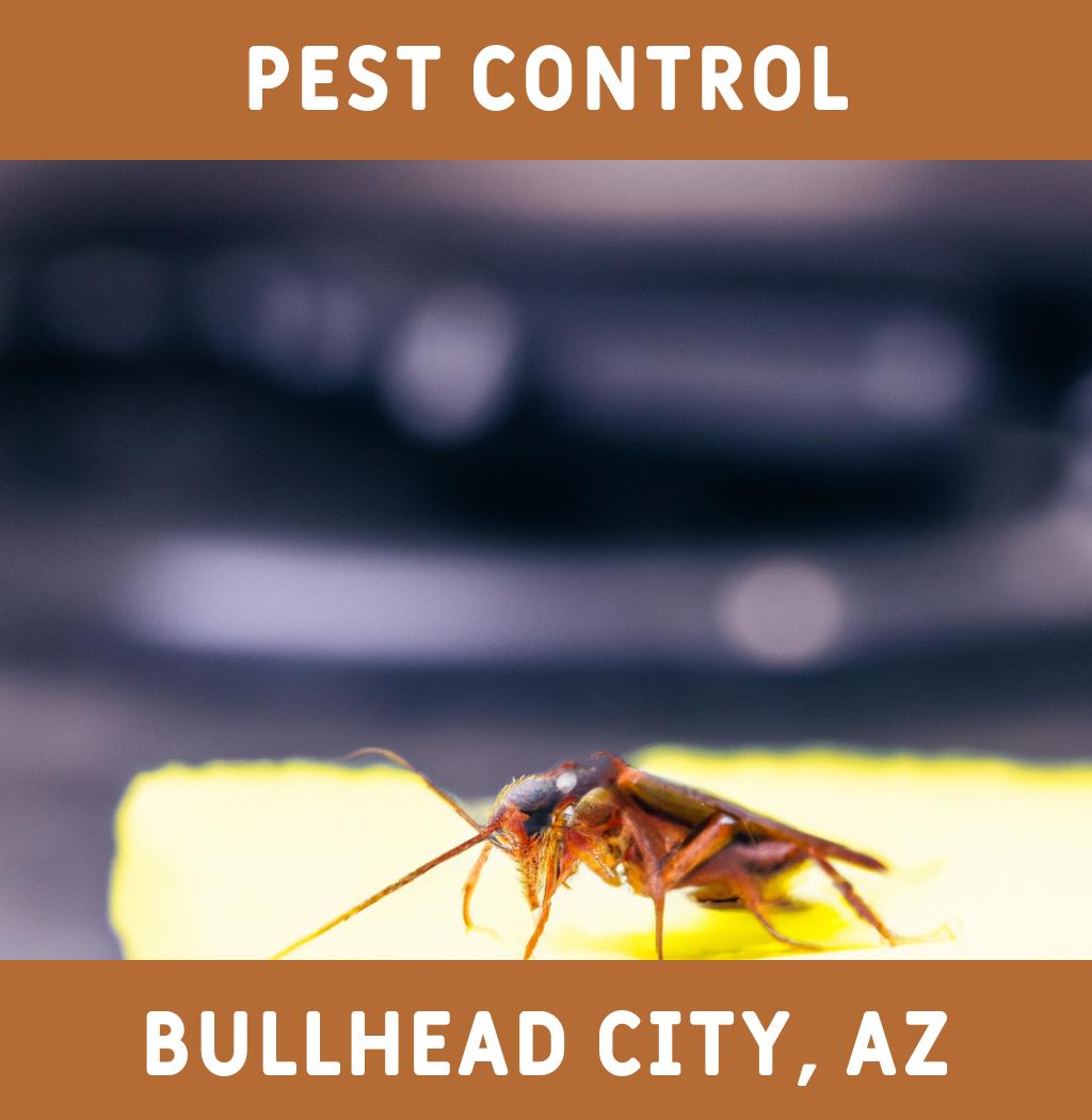 pest control in Bullhead City Arizona