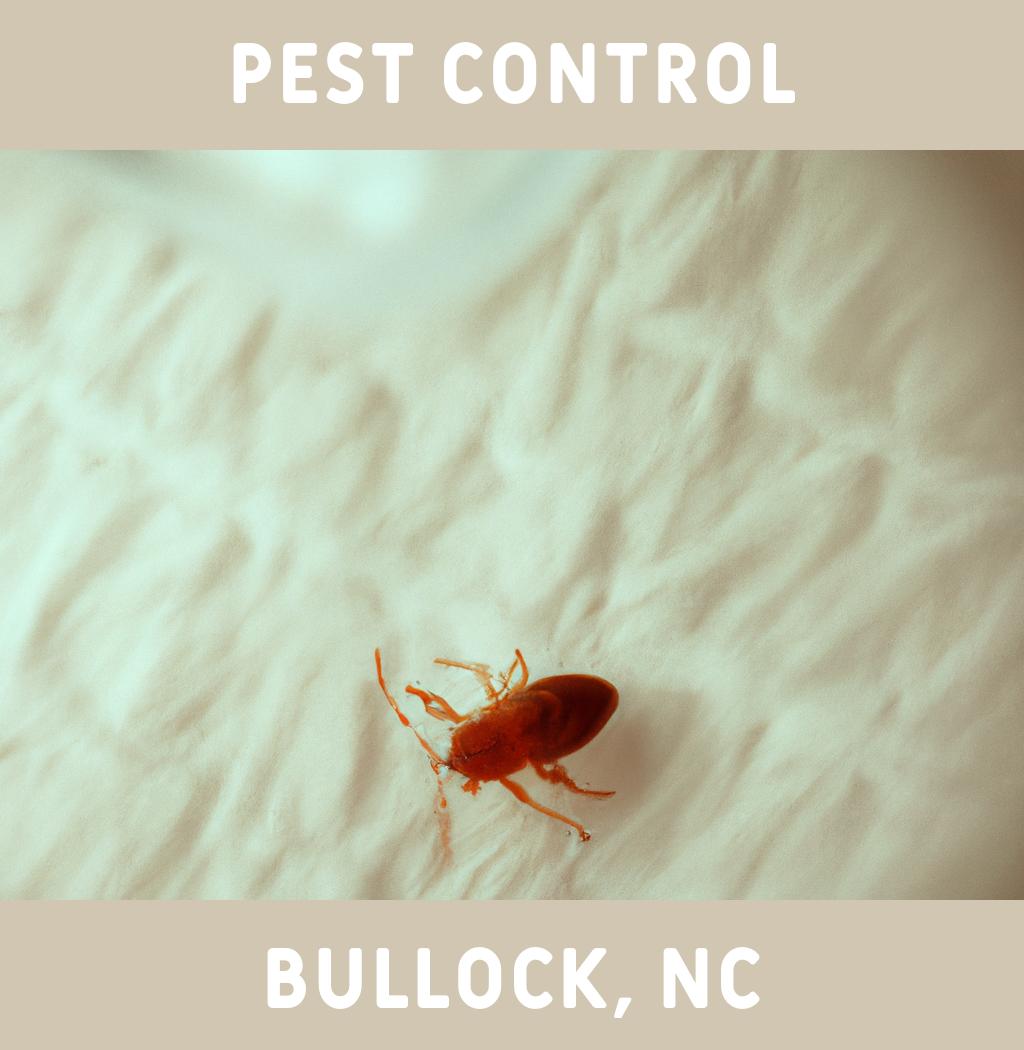 pest control in Bullock North Carolina