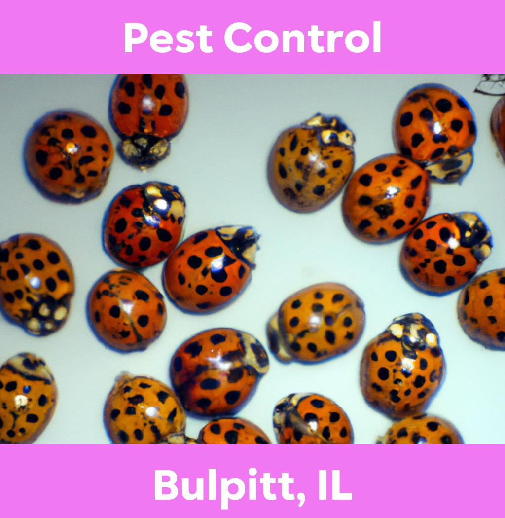 pest control in Bulpitt Illinois