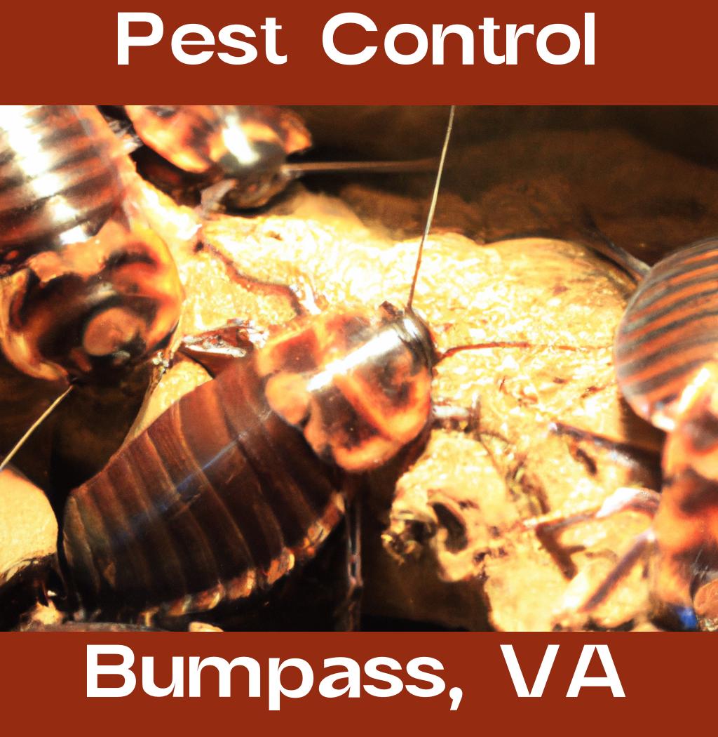 pest control in Bumpass Virginia