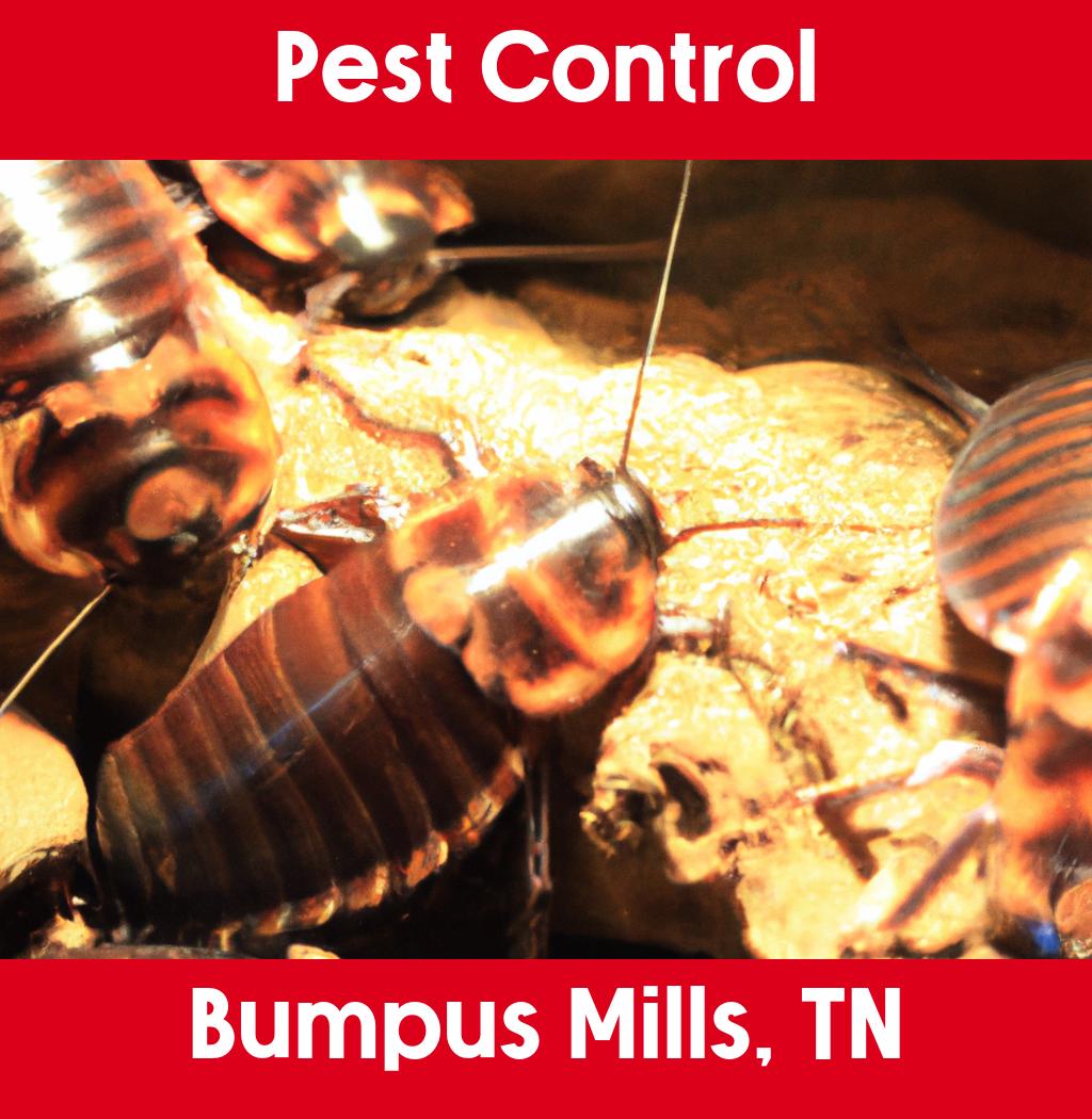 pest control in Bumpus Mills Tennessee