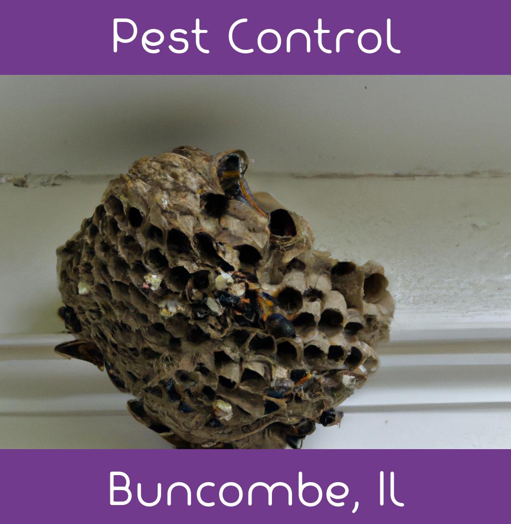 pest control in Buncombe Illinois