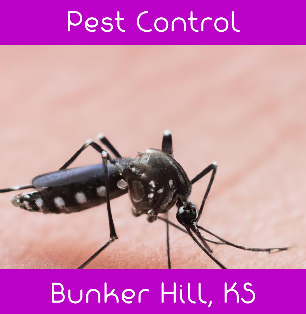 pest control in Bunker Hill Kansas