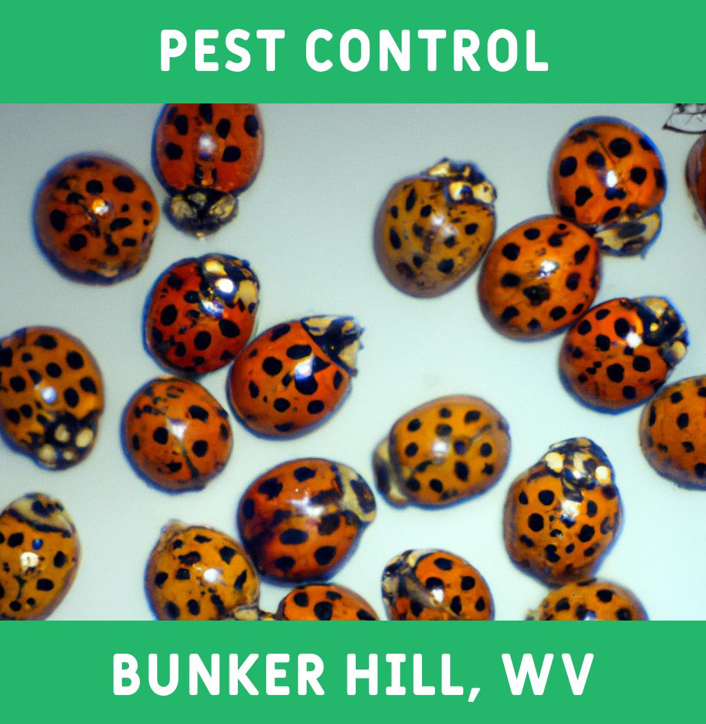 pest control in Bunker Hill West Virginia