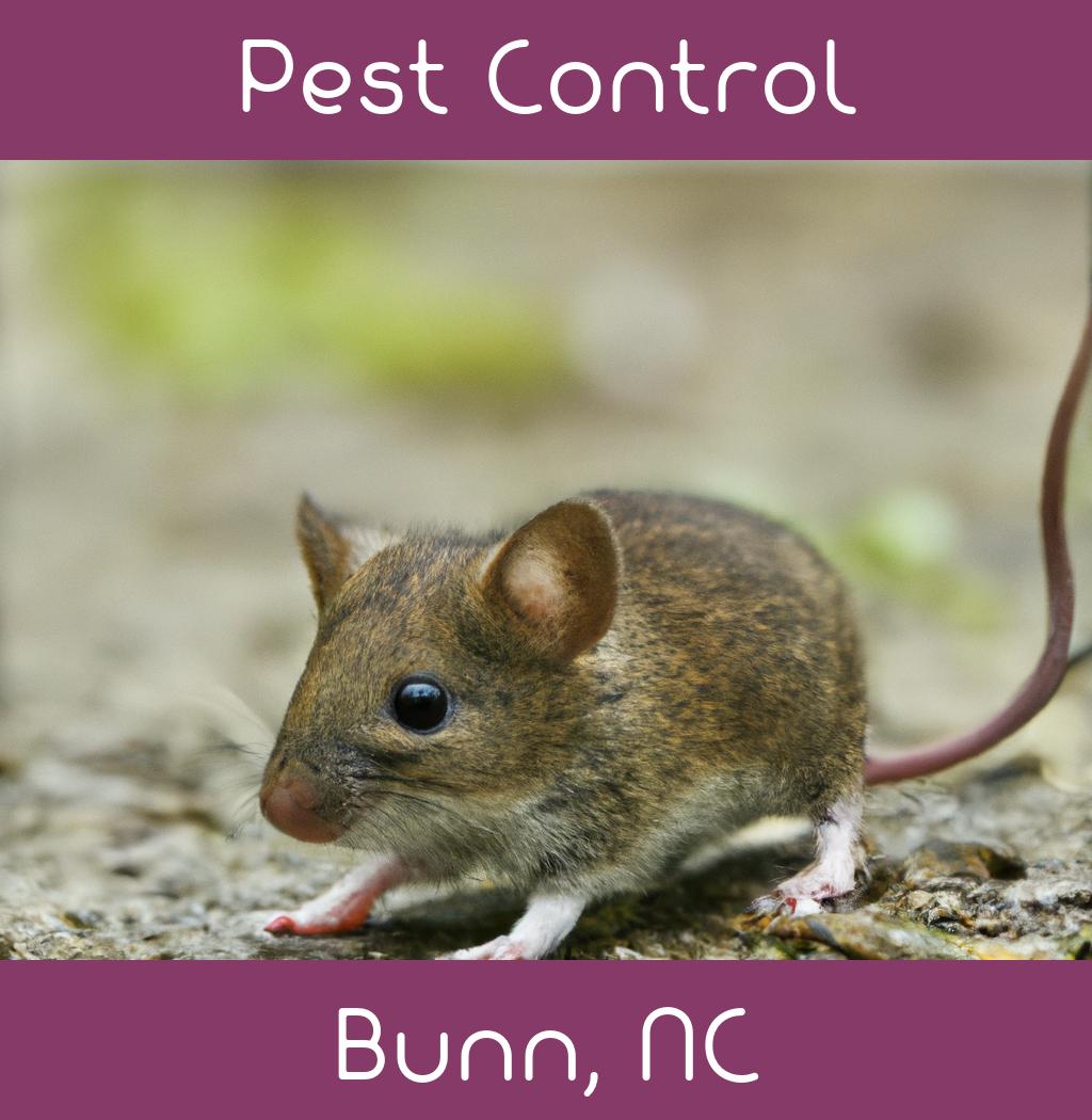 pest control in Bunn North Carolina