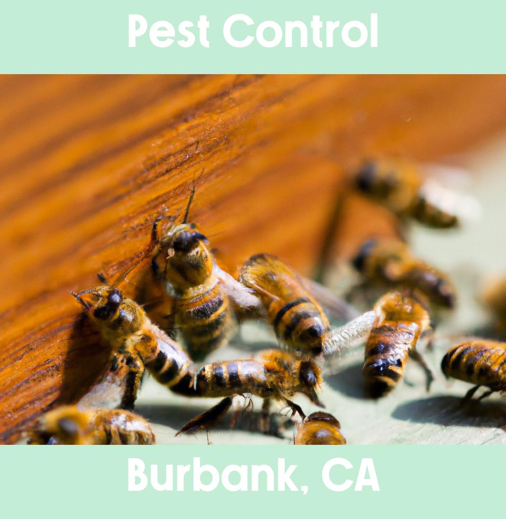 pest control in Burbank California