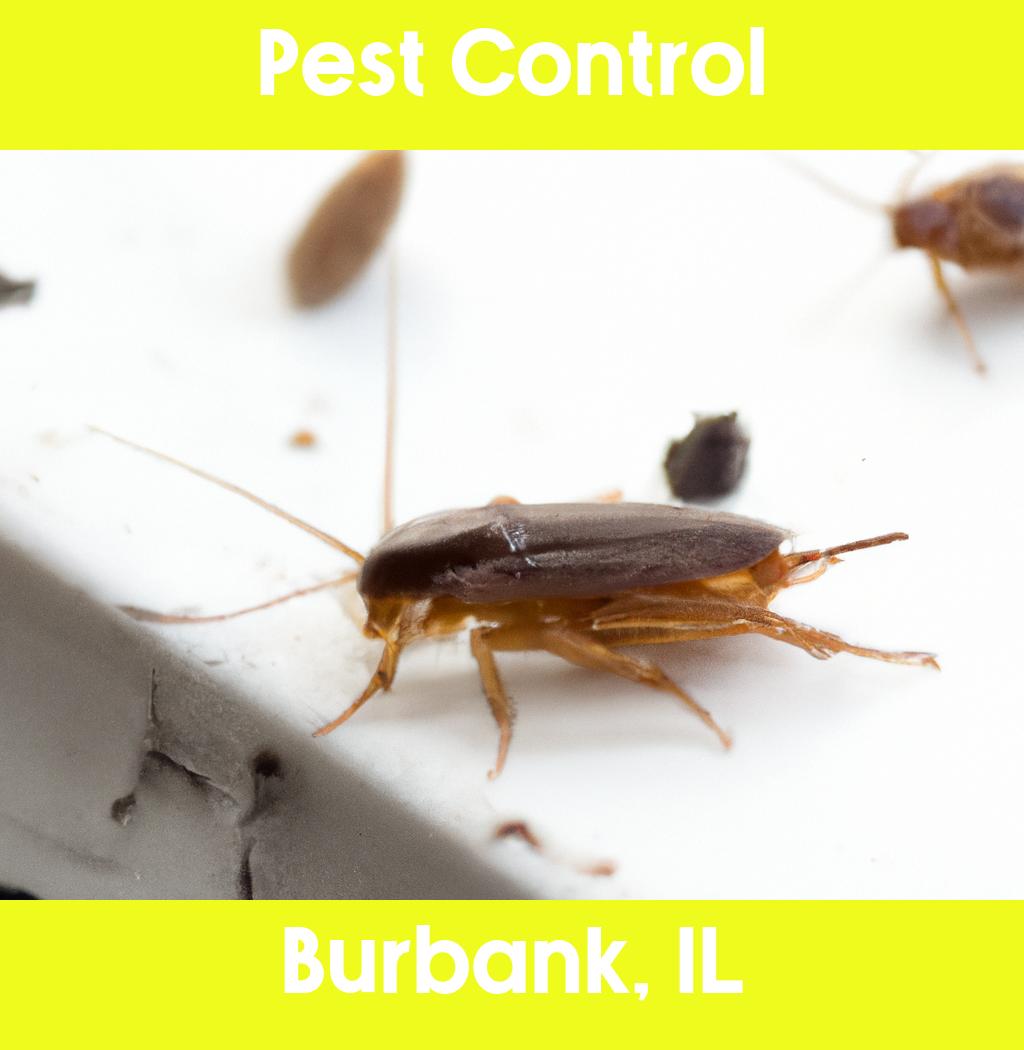 pest control in Burbank Illinois