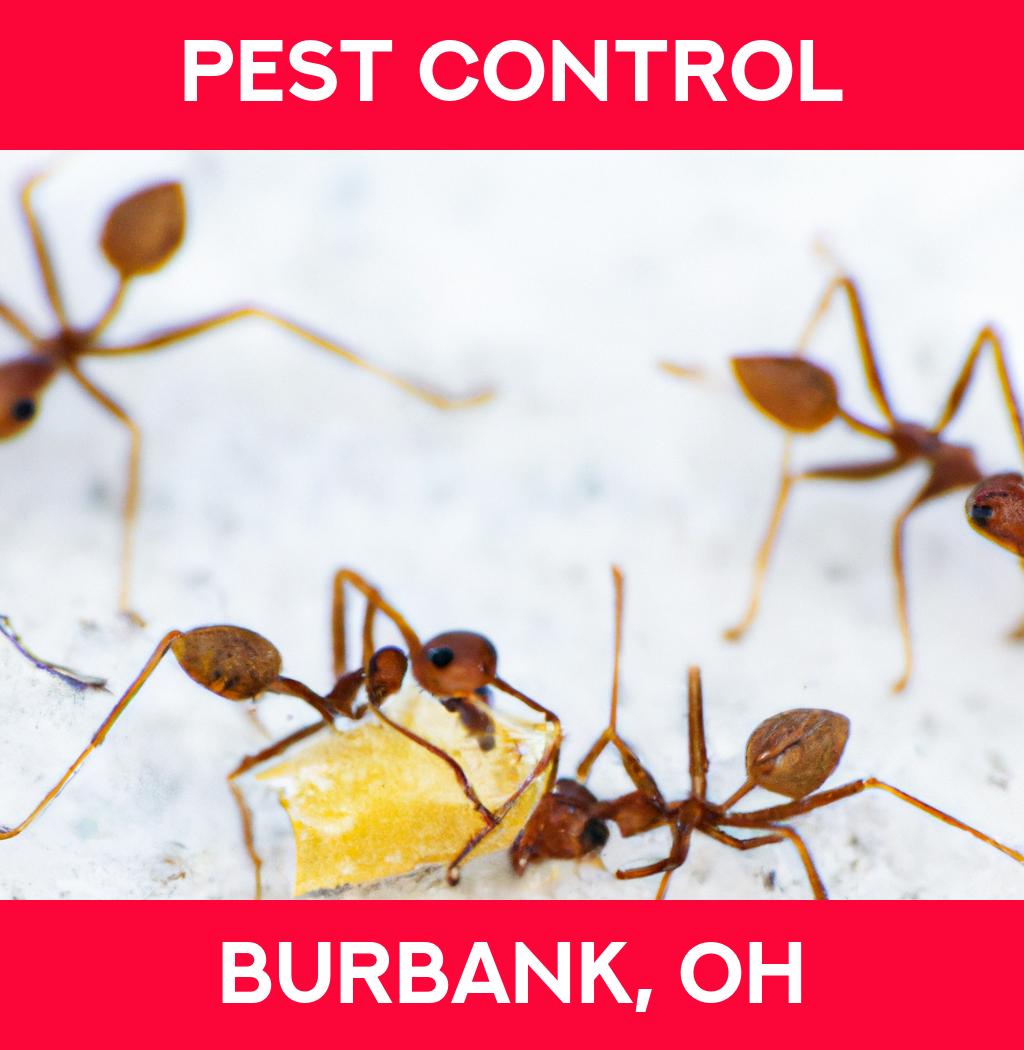 pest control in Burbank Ohio