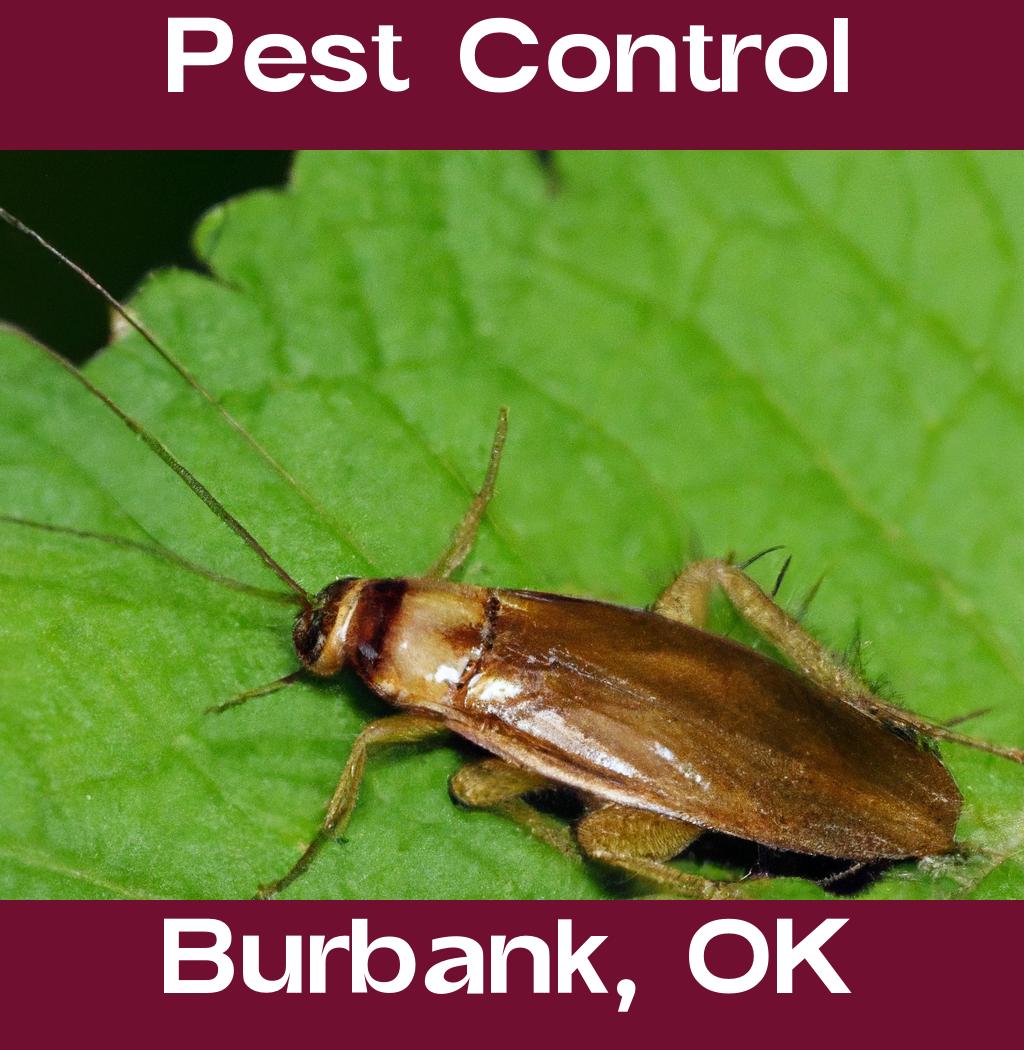 pest control in Burbank Oklahoma