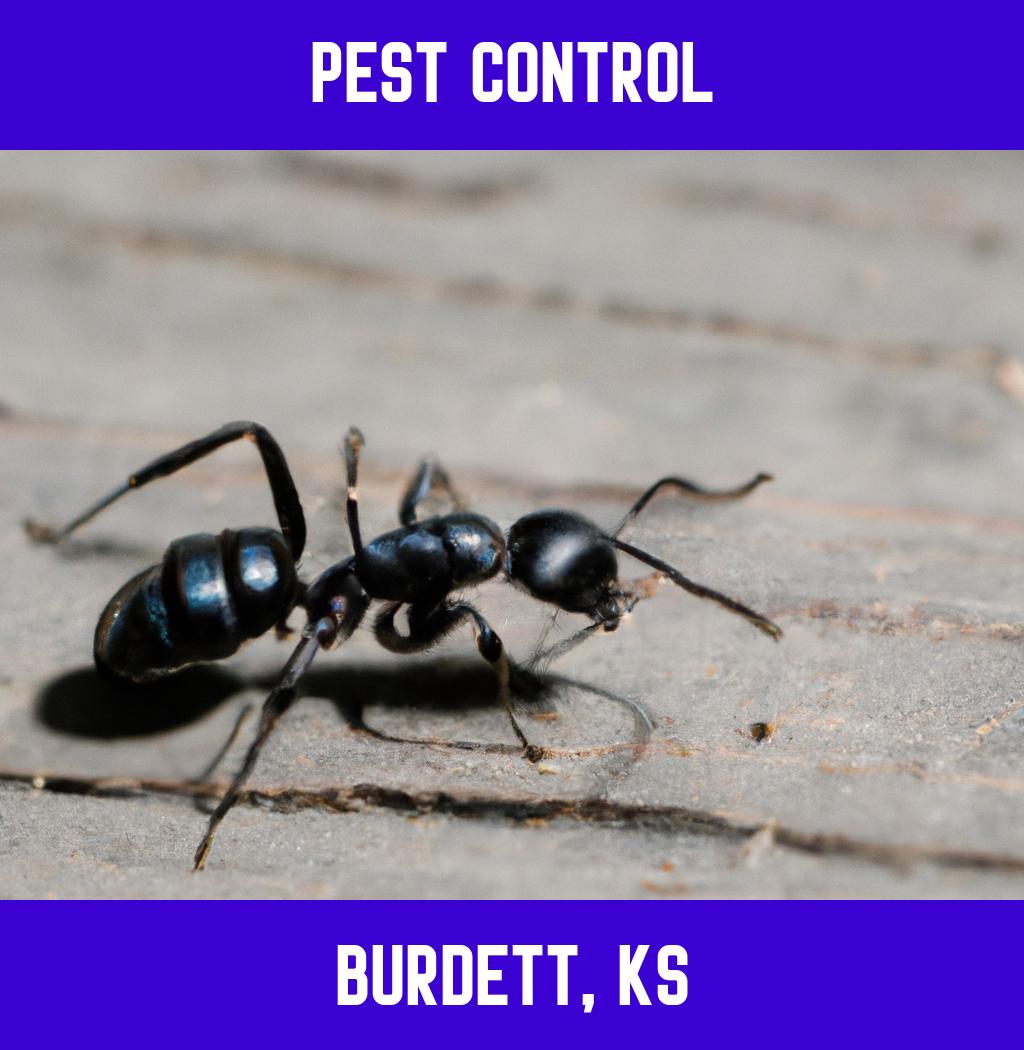 pest control in Burdett Kansas