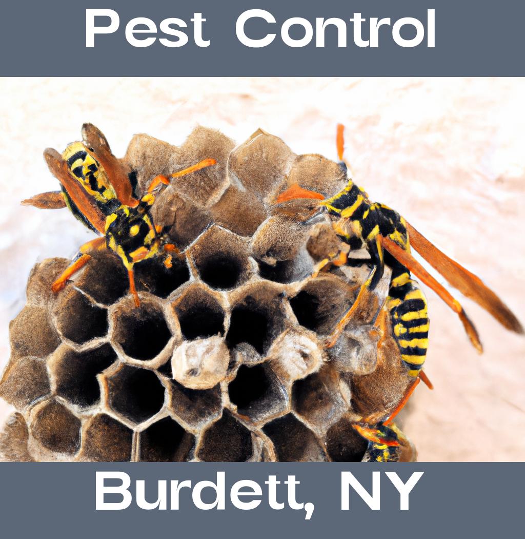 pest control in Burdett New York