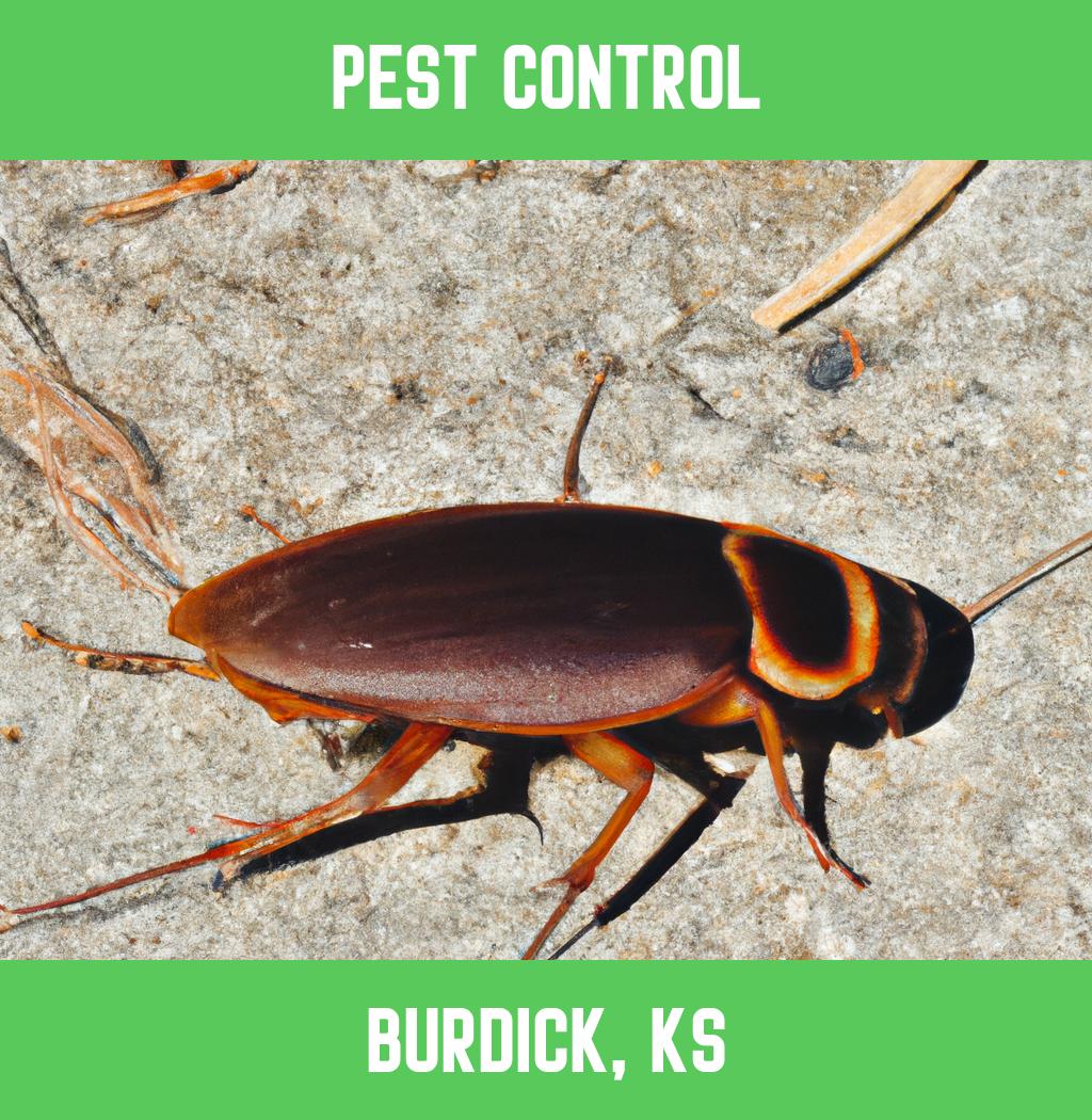 pest control in Burdick Kansas