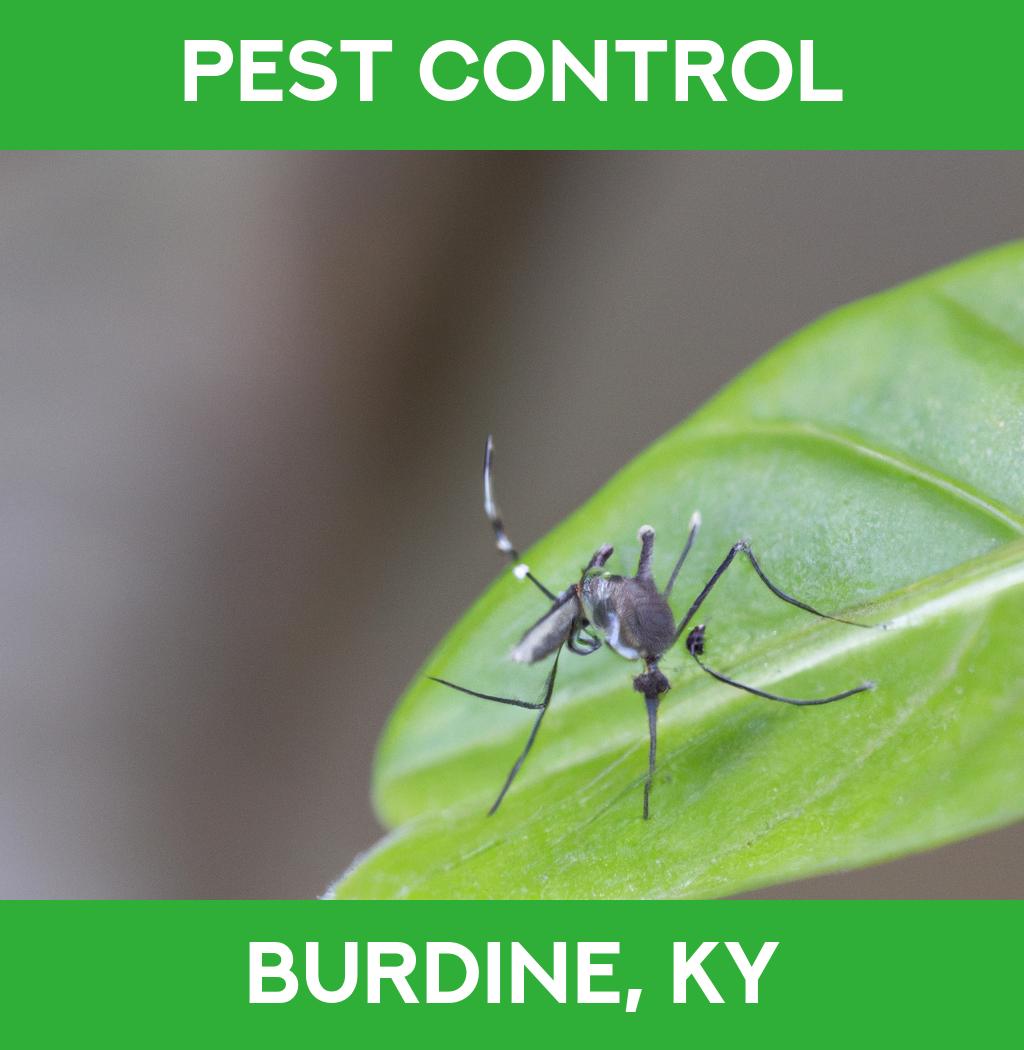 pest control in Burdine Kentucky