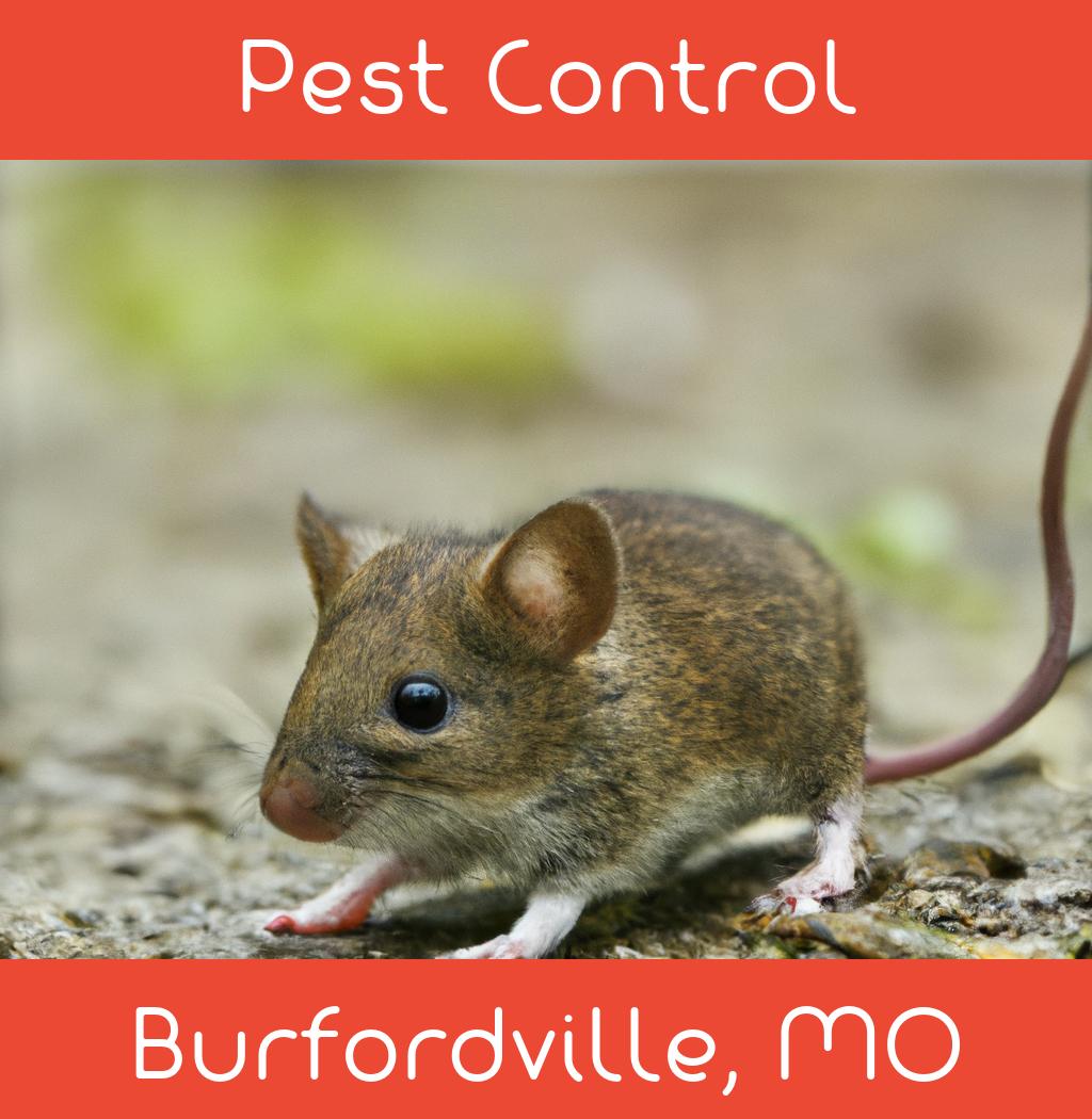 pest control in Burfordville Missouri