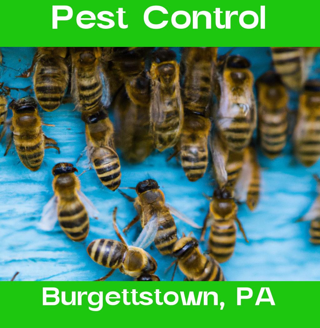 pest control in Burgettstown Pennsylvania