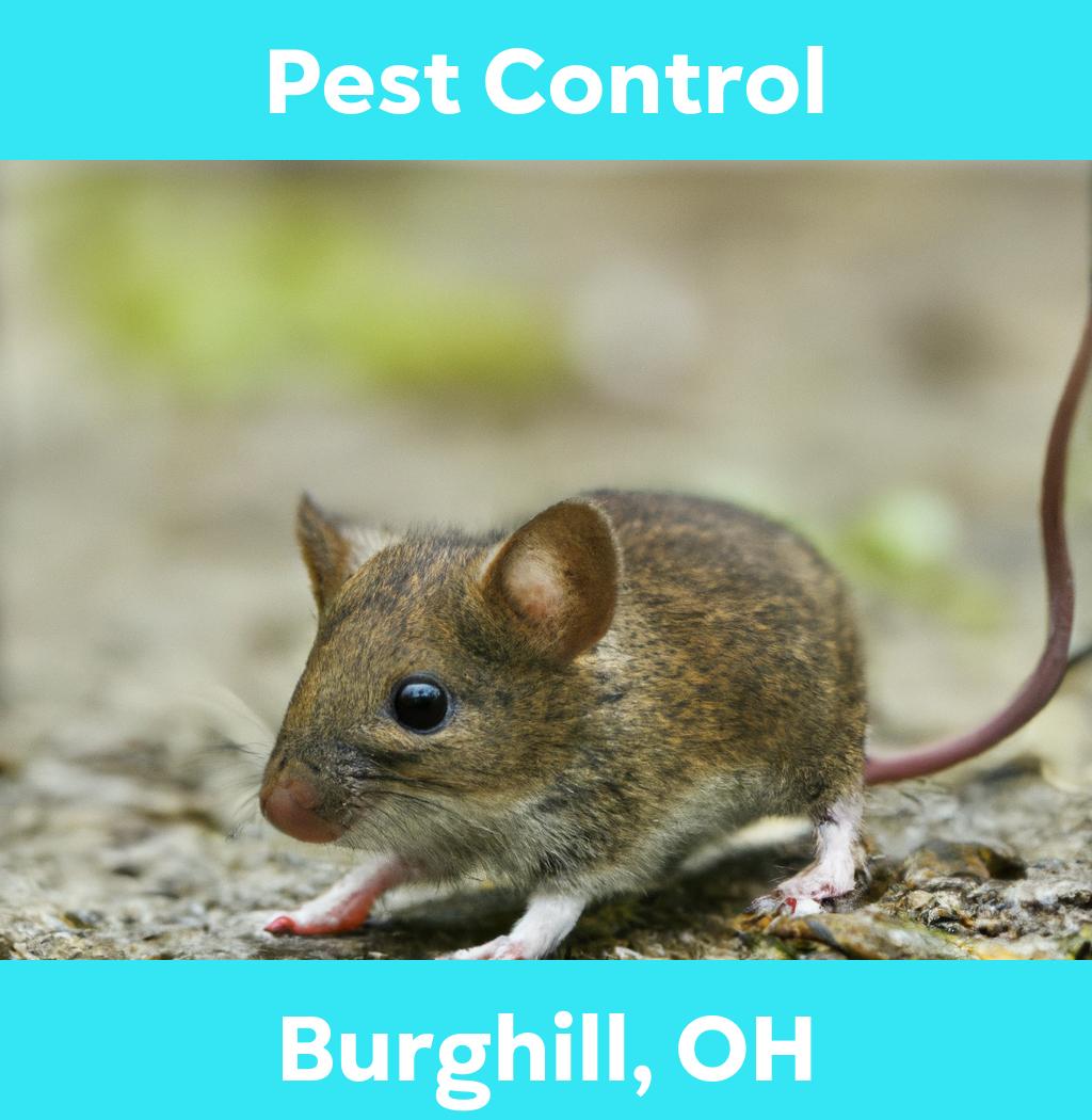 pest control in Burghill Ohio