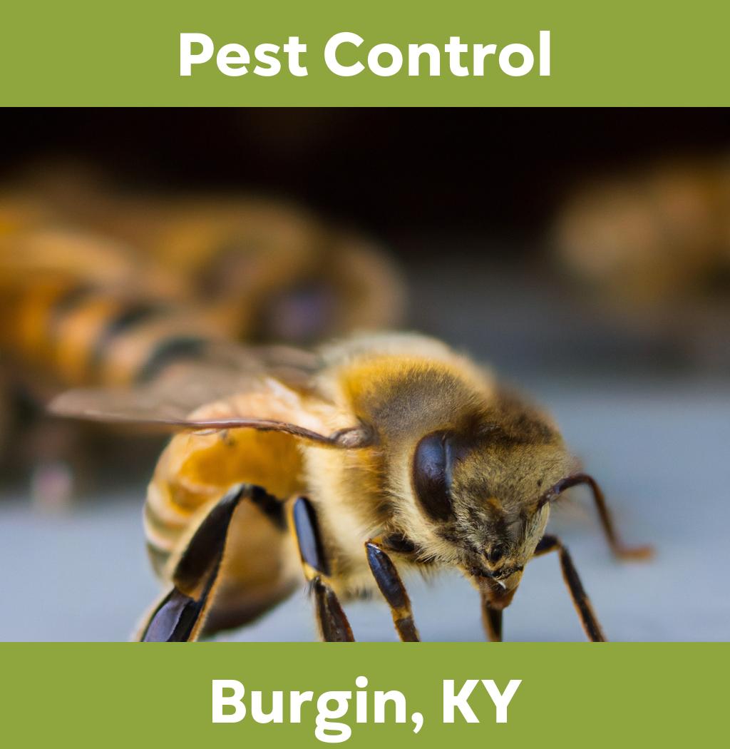 pest control in Burgin Kentucky