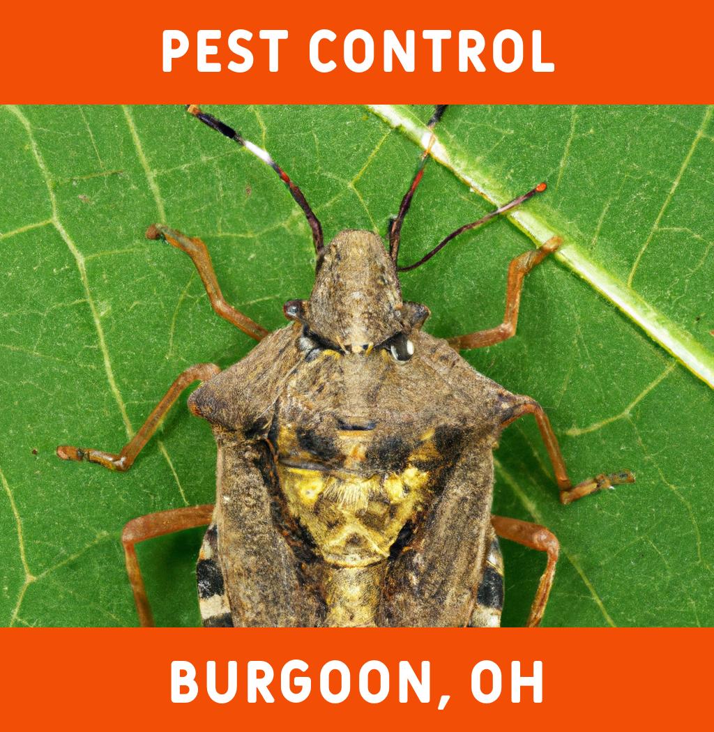 pest control in Burgoon Ohio