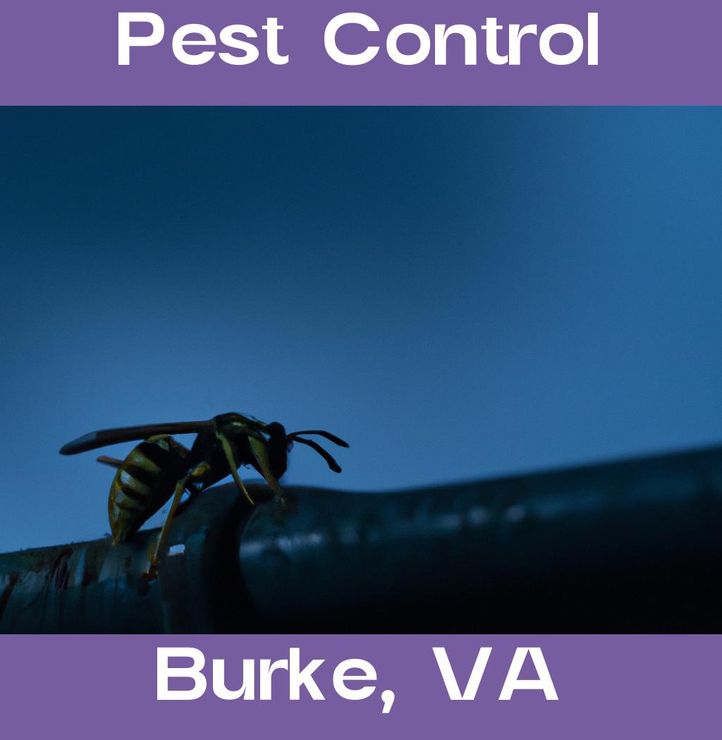 pest control in Burke Virginia