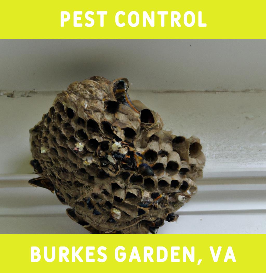 pest control in Burkes Garden Virginia
