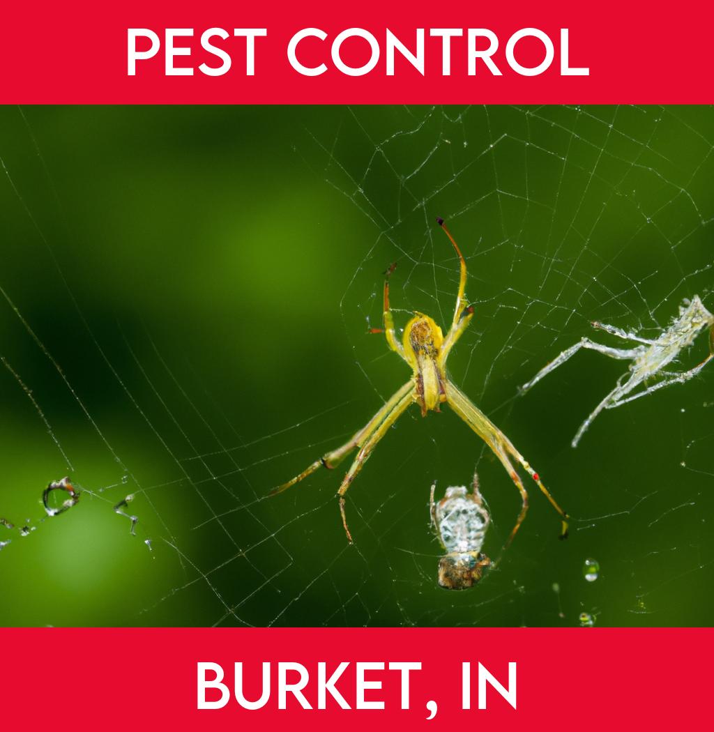pest control in Burket Indiana