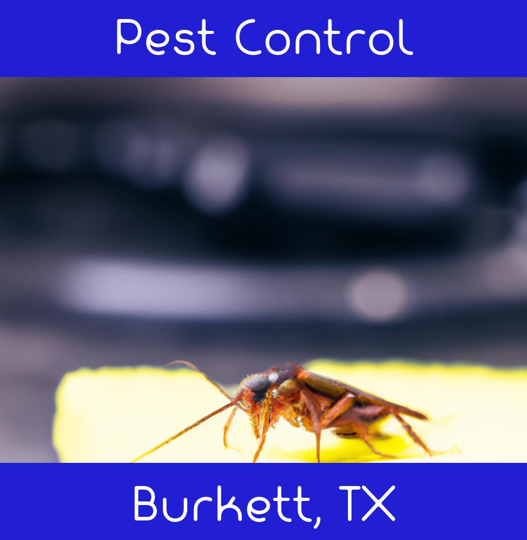 pest control in Burkett Texas