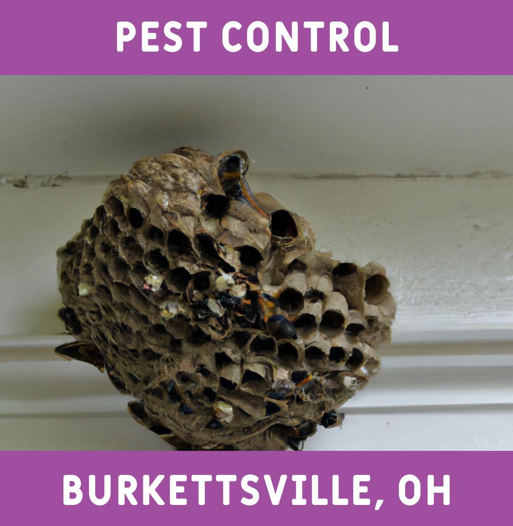 pest control in Burkettsville Ohio