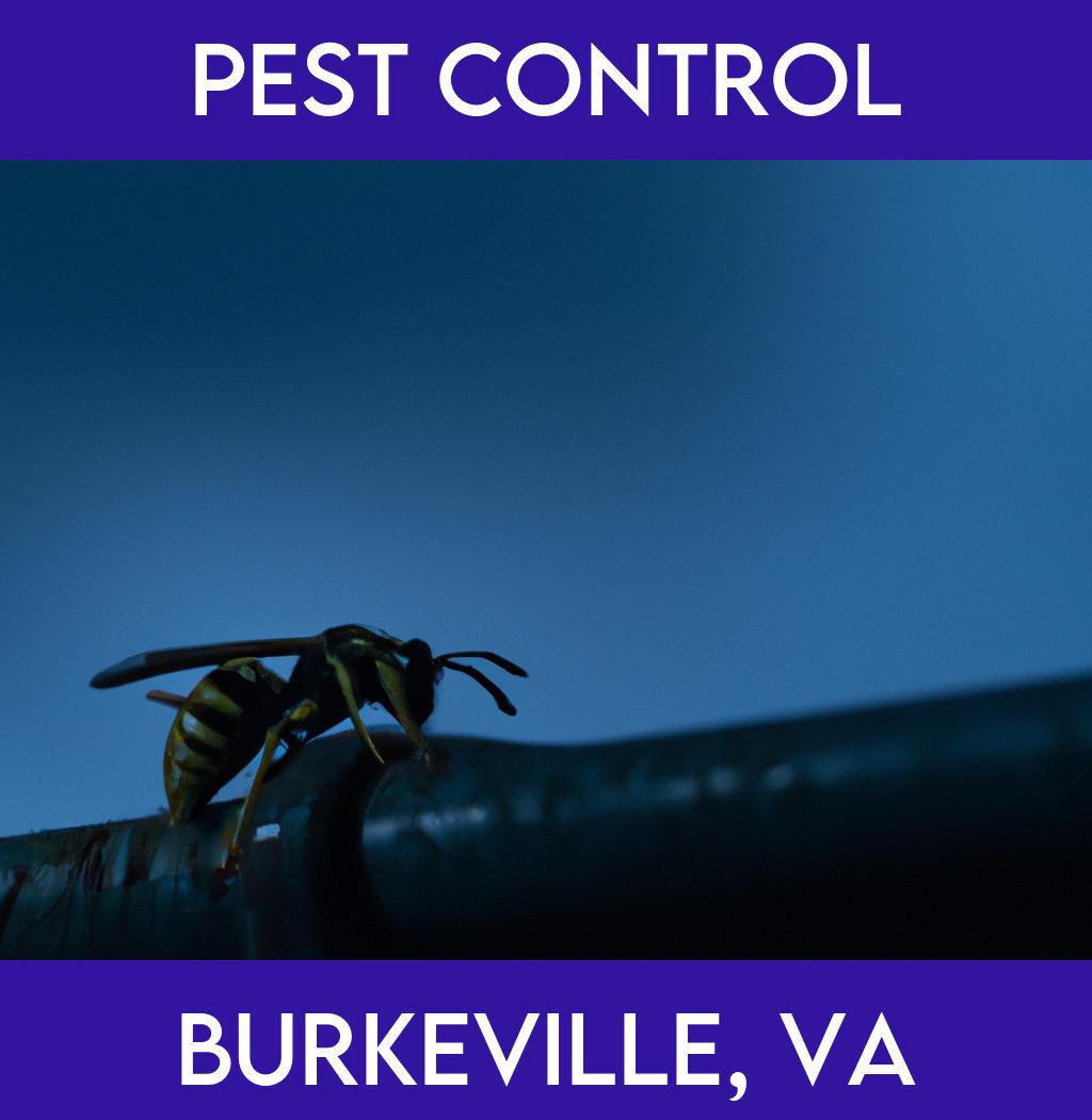 pest control in Burkeville Virginia