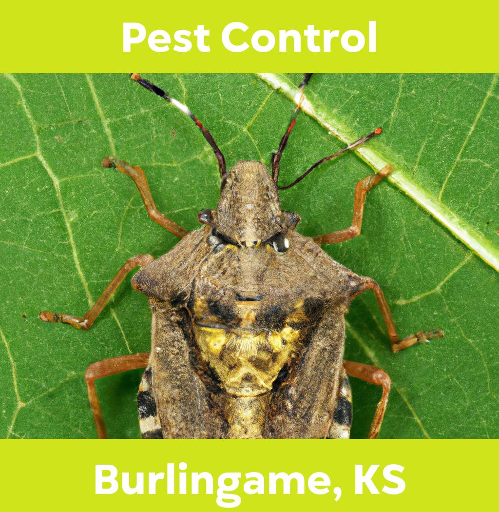 pest control in Burlingame Kansas